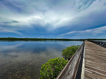 20240820c Burnham Trip Park Stamps John D MacArthur State Park Florida
