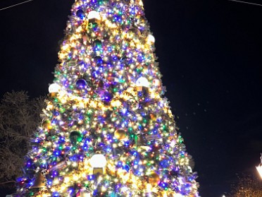 20241210a Burnham Szandzik Holiday Epcot Florida