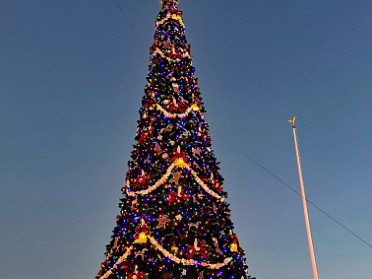 20241220f Burnham Trip Holiday Christmas Decor Disney Magic Kingdom Florida