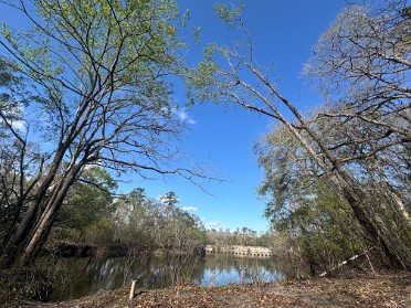 20250313h Burnham Trip Park Stamps Troy Spring Florida