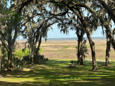 20250315a Burnham Trip Park Stamps Paynes Prairie Preserve Florida