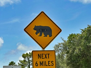 20250609c Burnham Trip Gulf Coast US19 Bear Alley Florida