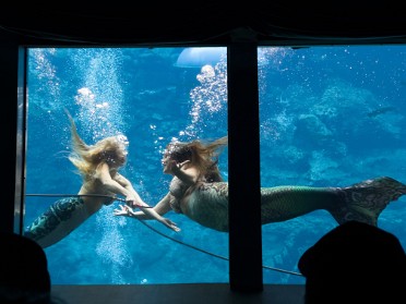 20250610b Burnham Trip Gulf Coast Weeki Wachee Springs State Park Little Mermaid Show Florida